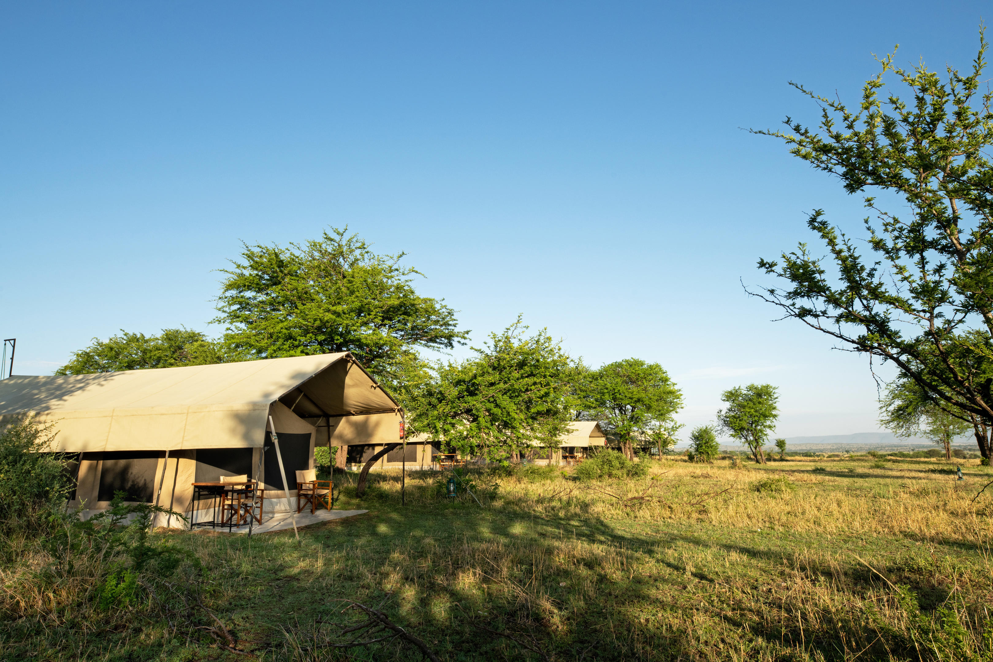 Serengeti Kati Kati Tented Camp thumbnail 9